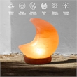 Posh Living Adria Moon Salt Lamp 8 Color Modes