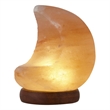 Posh Living Adria Moon Salt Lamp 8 Color Modes