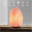 Posh Living Tre Salt Lamp Dimmable Light