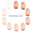 Posh Living Tre Salt Lamp Dimmable Light