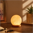 Posh Living Adlee Round Salt Lamp 8 Color Modes
