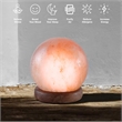 Posh Living Adlee Round Salt Lamp 8 Color Modes