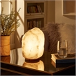 Posh Living Tytan Salt Lamp 8 Color Modes