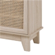 Posh Living Aralyn 2-Door Wood & Rattan Cabinet with Shelves in Beige/Natural