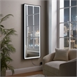 Posh Living Auron Rectangular Glass Mirror with LED Lights in Black