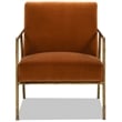 Aerin 24.5