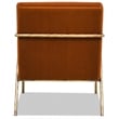 Aerin 24.5