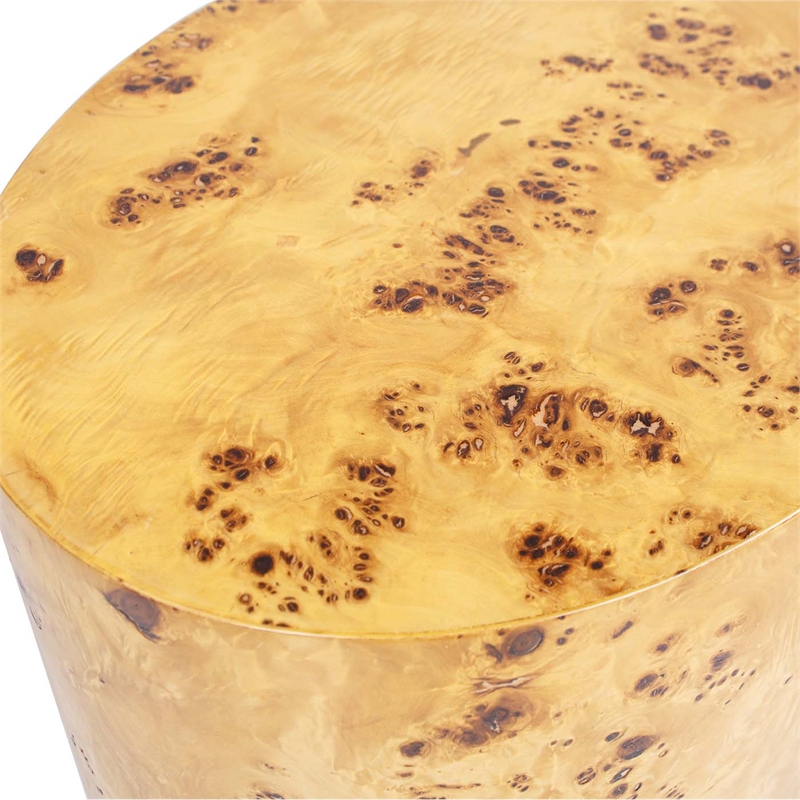 Nebula 20 inch Accent Oval Pillar Brown Burl Wood Side Table