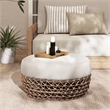 Willow 25