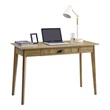 Cooper Transitional Wood Computer/Writing Desk with Drawer in Golden Oak