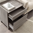 Riverbay Furniture Modern Wood Filing Cabinet with 2 Drawers in Gray