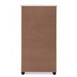 Riverbay Furniture 8-Drawer Transitional Wood Storage Cart in White Wash