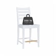 Riverbay Furniture Transitional Beech Wood Set of Two Counter Stools in White