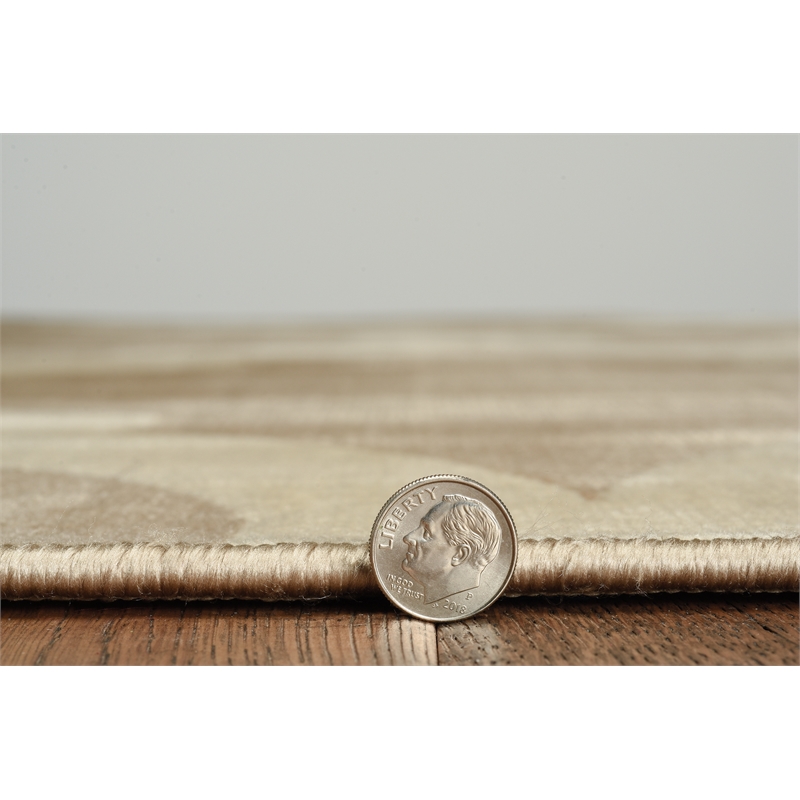 Riverbay Furniture Vintage Polyester 8'x10' Rug in Beige and Sand