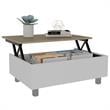 Carell Furniture Gambia Lift Top Coffee Table in White - Light Oak