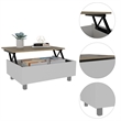 Carell Furniture Gambia Lift Top Coffee Table in White - Light Oak