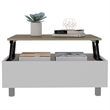 Carell Furniture Gambia Lift Top Coffee Table in White - Light Oak