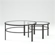 Henn&Hart 2 Piece Nested Metal & Glass Coffee Table in Black Bronze