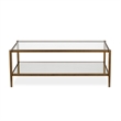 Henn&Hart Modern Rectangle Coffee Table in Brass and Gold with Mirrored Shelf
