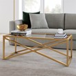 Henn&Hart Brass and Gold Rectangular Coffee Table with Glass Top