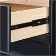 Finch Belmont 2 Drawer Nightstand Black