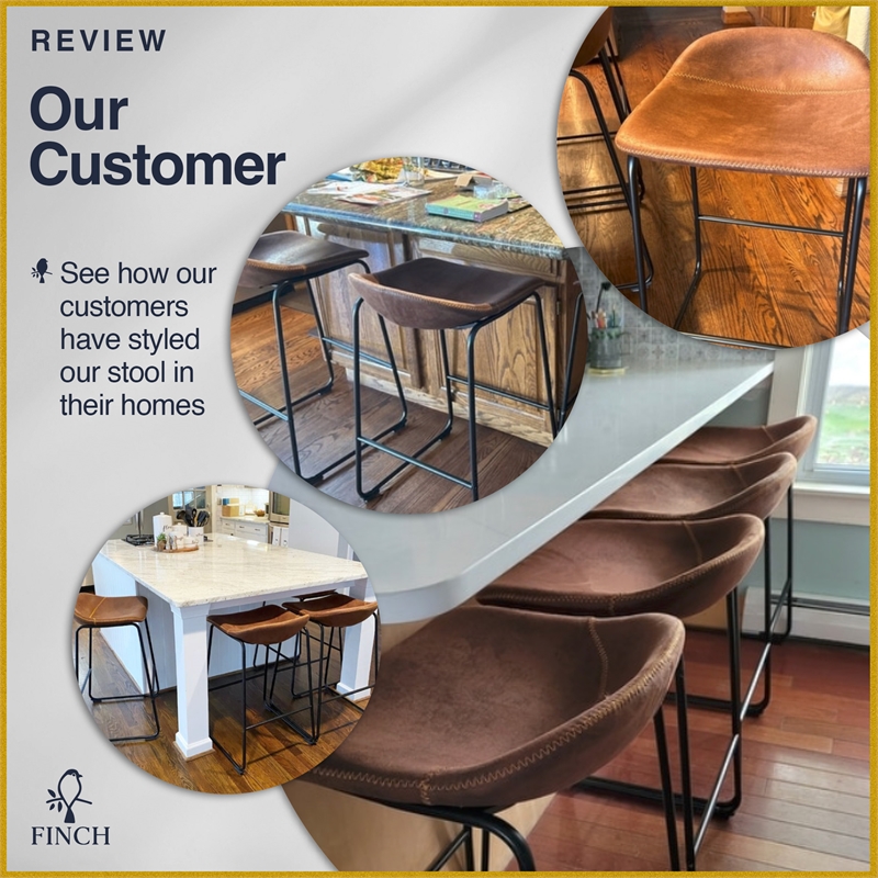 Finch Landon Bar Stool in Brown (Set of 2)