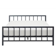 ClickDecor Evans Modern Metal Platform King Bed in Black