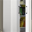 Lilola Home Evelyn 2-Door Engineered Wood Storage Cabinet in White