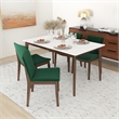 Lisette Modern Solid Wood Walnut Dining Room & Kitchen Table and Chair Set of 4