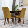 Antonio Mid Century Modern 5 Piece Dining Room Set