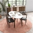Aslan Modern Solid Wood Walnut Oval Dining Table and Chair Furniture Set for 4