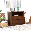 Carla Mid Century Modern Solid Wood Walnut Nightstand with 2 Drawers