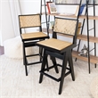Montego Mid Century Modern Bar Stool in Camel Natural Rattan