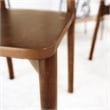 Peterson Mid Century Modern Solid Wood Walnut Dining Chairs (Set of 2)