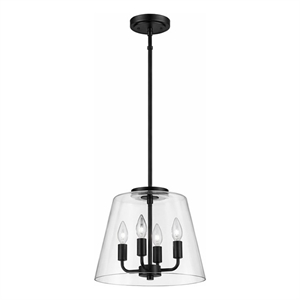 Seeut Metal Pendant Light with Clear Glass and Black Finish