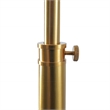 Bernice Brass Dome Metal Floor Lamp with Rattan Accent and Dual Pull Chains