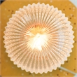 Aquila Bronze Base Table Lamp with Ribbed Glass Shade