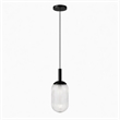 Daphne Modern Ribbed Glass Metal Pendant Light with Black Finish