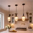 Daphne Modern Ribbed Glass Metal Pendant Light with Black Finish