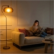 Sara Gold Metal Arc Floor Lamp with Black Drum Shade