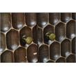 Honeycomb Solid Mango Wood Two Door Cabinet.