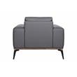 Porter Designs Pietro Top Grain Leather Chair - Gray