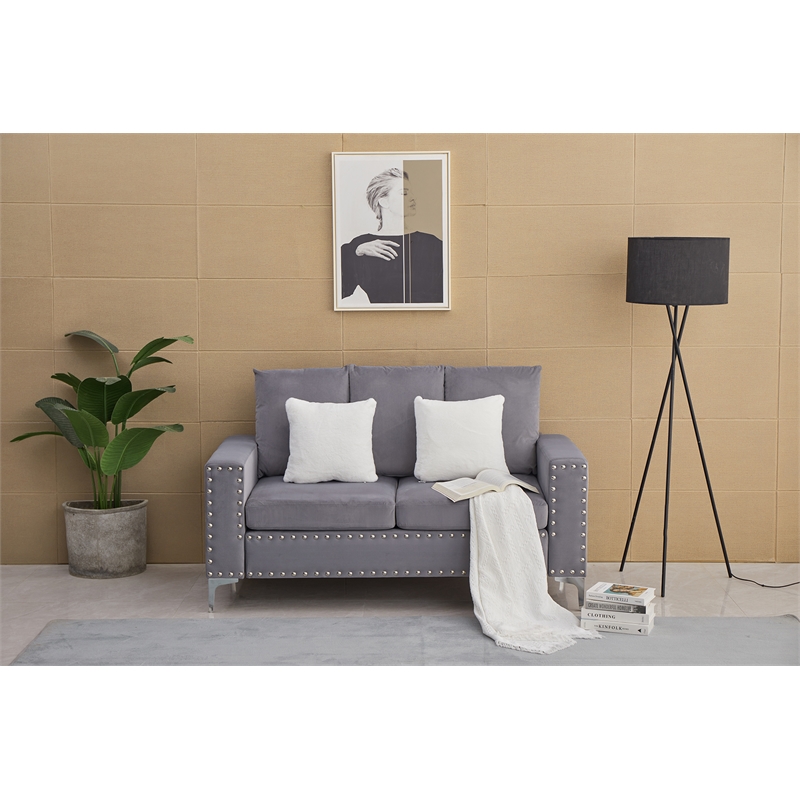 Kingway Furniture Armeni Velvet Living Room Loveseat in Gray