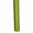 LeisureMod Cornelia Modern Plastic Dining Side Chair in Solid Green Set of 2