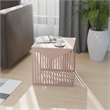 LeisureMod Cisco Modern Powder-Coated Stainless Steel Finish Side Table Brown