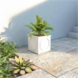 LeisureMod Modern Sprout Fiberstone and MgO Clay Square Planter White 15