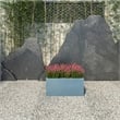 LeisureMod Bloom Rectangular Planter in Fiberstone and Clay Aged Concrete 9