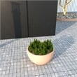 LeisureMod Grove Fiberstone and MGO Clay Round Planter Brown 6 Inch