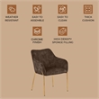 Upholstered Dining Chair in Velvet with Gold Chrome Iron in Brown