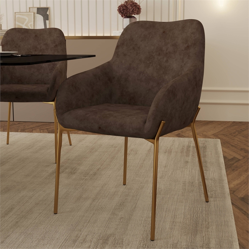 Upholstered Dining Chair in Velvet with Gold Chrome Iron in Brown